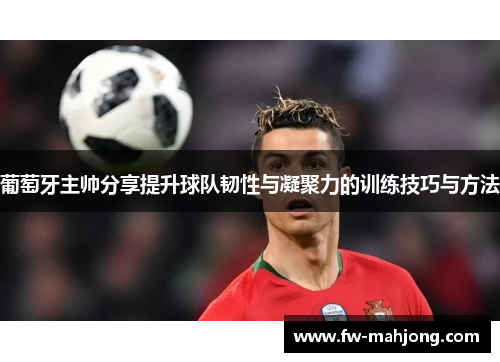 葡萄牙主帅分享提升球队韧性与凝聚力的训练技巧与方法